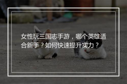 女性玩三国志手游,哪个英雄适合新手?如何快速提升实力?