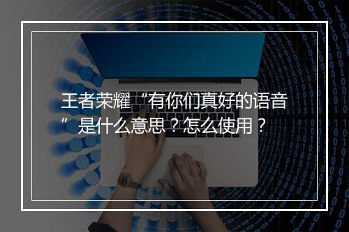 王者荣耀“有你们真好的语音”是什么意思？怎么使用？