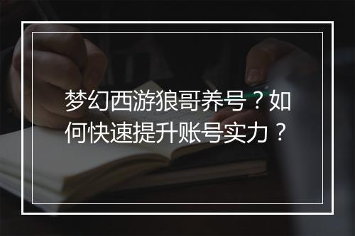 梦幻西游狼哥养号？如何快速提升账号实力？