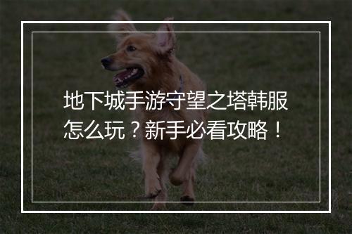 地下城手游守望之塔韩服怎么玩?新手必看攻略!