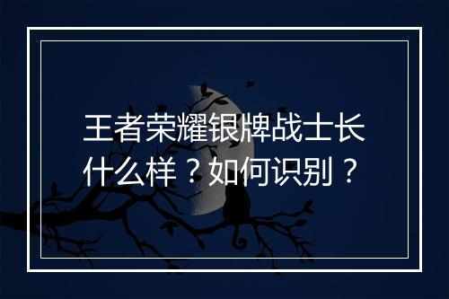王者荣耀银牌战士长什么样?如何识别?