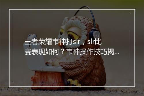 王者荣耀韦神打slr,slr比赛表现如何?韦神操作技巧揭秘