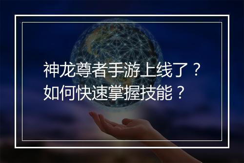 神龙尊者手游上线了?如何快速掌握技能?
