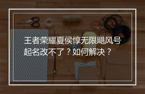 王者荣耀夏侯惇无限飓风号起名改不了?如何解决?