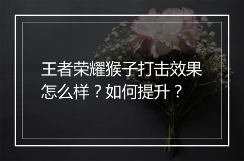 王者荣耀猴子打击效果怎么样?如何提升?