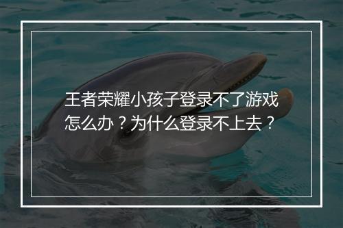 王者荣耀小孩子登录不了游戏怎么办？为什么登录不上去？