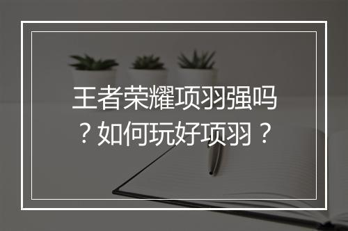王者荣耀项羽强吗?如何玩好项羽?