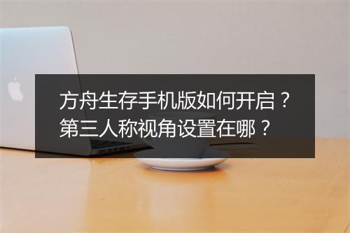 方舟生存手机版如何开启？第三人称视角设置在哪？