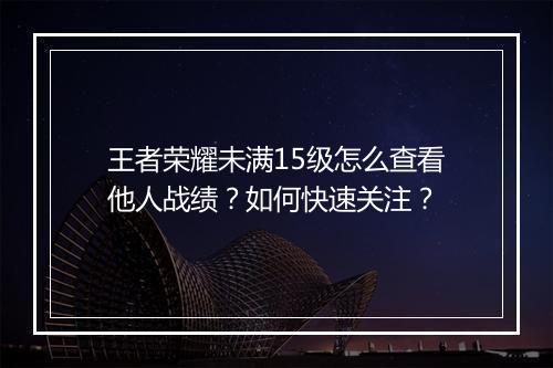 王者荣耀未满15级怎么查看他人战绩？如何快速关注？