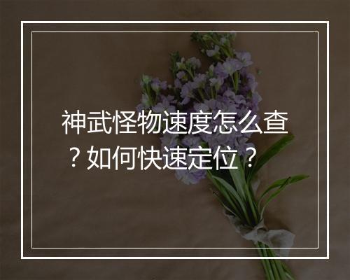 神武怪物速度怎么查？如何快速定位？