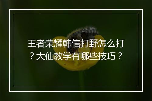 王者荣耀韩信打野怎么打?大仙教学有哪些技巧?