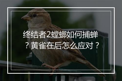 终结者2螳螂如何捕蝉?黄雀在后怎么应对?