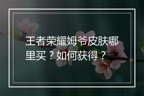 王者荣耀姆爷皮肤哪里买？如何获得？