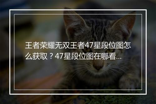 王者荣耀无双王者47星段位图怎么获取?47星段位图在哪看?