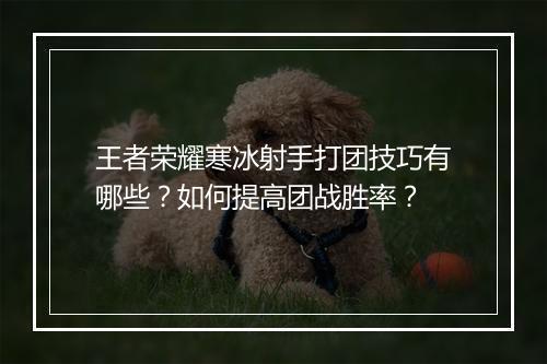 王者荣耀寒冰射手打团技巧有哪些?如何提高团战胜率?