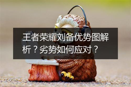 王者荣耀刘备优势图解析？劣势如何应对？