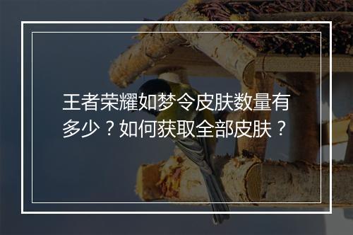 王者荣耀如梦令皮肤数量有多少?如何获取全部皮肤?