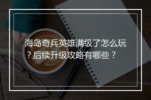 海岛奇兵英雄满级了怎么玩？后续升级攻略有哪些？
