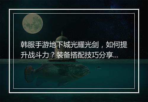 韩服手游地下城光耀光剑,如何提升战斗力?装备搭配技巧分享?