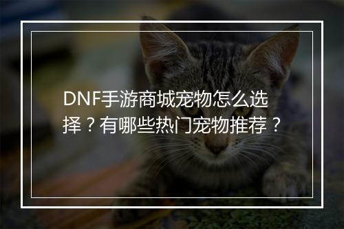 DNF手游商城宠物怎么选择?有哪些热门宠物推荐?