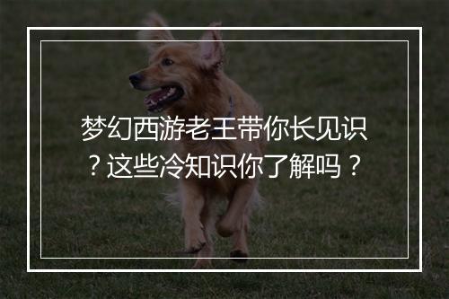 梦幻西游老王带你长见识?这些冷知识你了解吗?