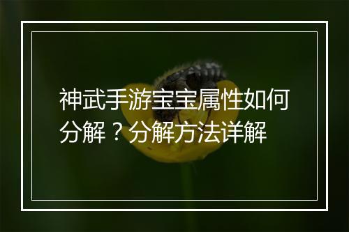 神武手游宝宝属性如何分解？分解方法详解