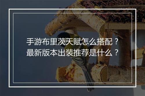 手游布里茨天赋怎么搭配？最新版本出装推荐是什么？