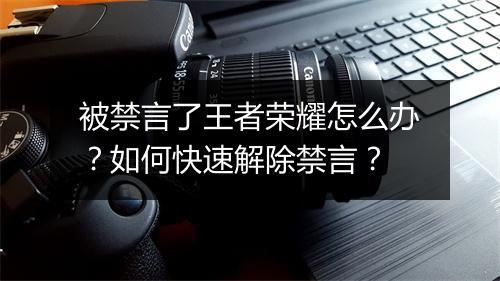 被禁言了王者荣耀怎么办？如何快速解除禁言？