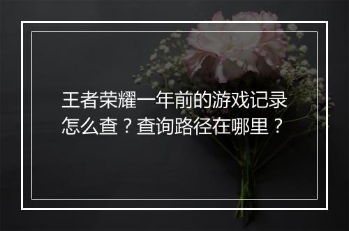 王者荣耀一年前的游戏记录怎么查?查询路径在哪里?