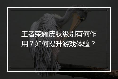 王者荣耀皮肤级别有何作用?如何提升游戏体验?