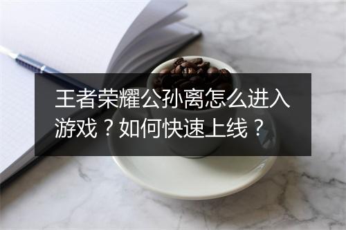 王者荣耀公孙离怎么进入游戏?如何快速上线?