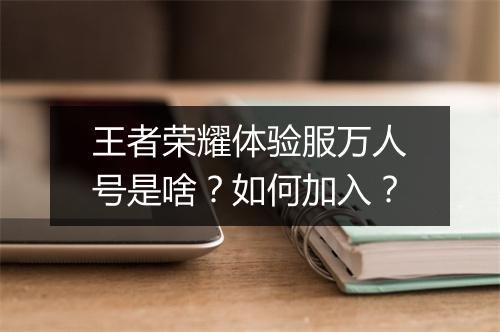 王者荣耀体验服万人号是啥？如何加入？