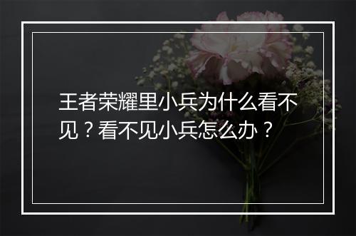 王者荣耀里小兵为什么看不见？看不见小兵怎么办？
