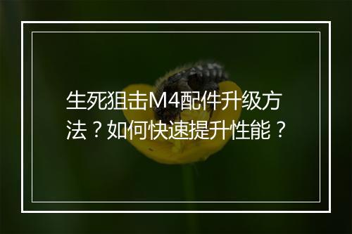 生死狙击M4配件升级方法?如何快速提升性能?