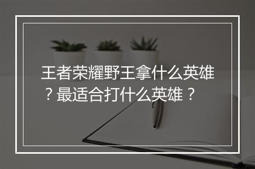 王者荣耀野王拿什么英雄?最适合打什么英雄?