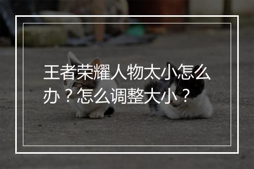 王者荣耀人物太小怎么办?怎么调整大小?