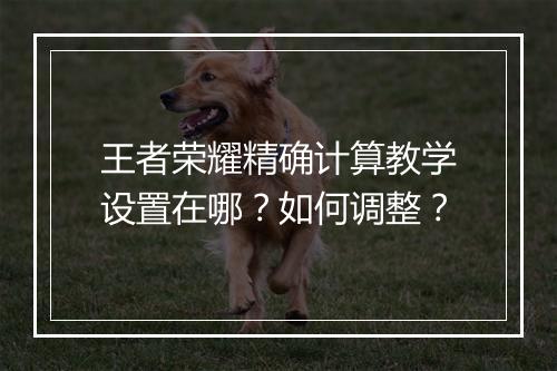 王者荣耀精确计算教学设置在哪?如何调整?