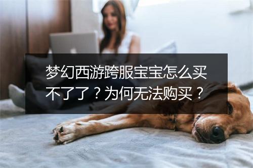 梦幻西游跨服宝宝怎么买不了了?为何无法购买?