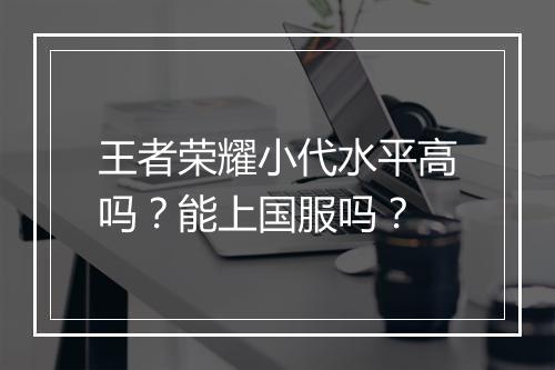 王者荣耀小代水平高吗?能上国服吗?