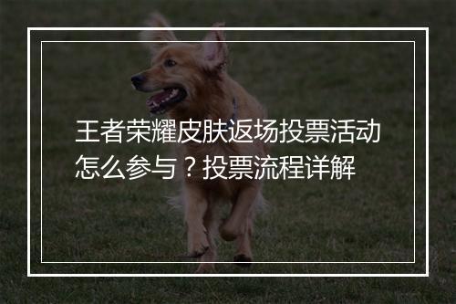 王者荣耀皮肤返场投票活动怎么参与?投票流程详解