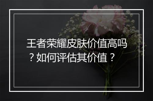 王者荣耀皮肤价值高吗?如何评估其价值?