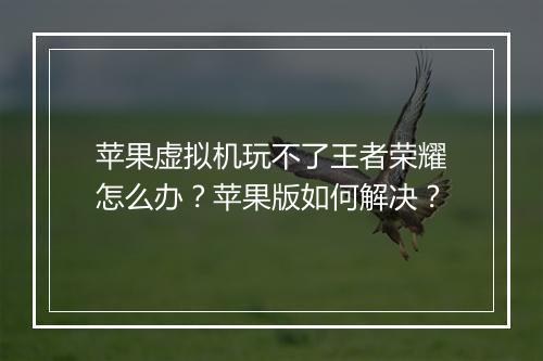 苹果虚拟机玩不了王者荣耀怎么办?苹果版如何解决?