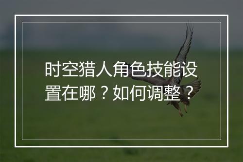 时空猎人角色技能设置在哪?如何调整?