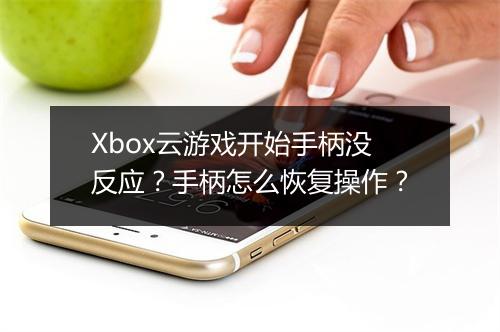 Xbox云游戏开始手柄没反应？手柄怎么恢复操作？