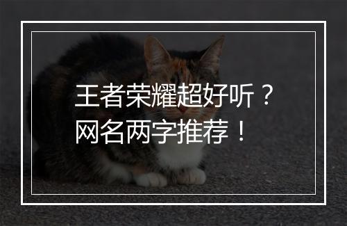 王者荣耀超好听?网名两字推荐!
