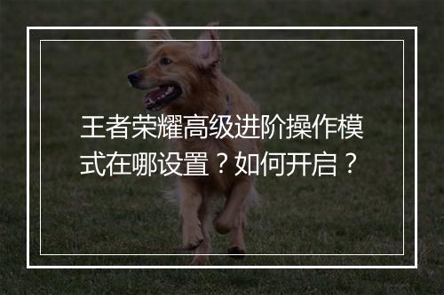 王者荣耀高级进阶操作模式在哪设置?如何开启?