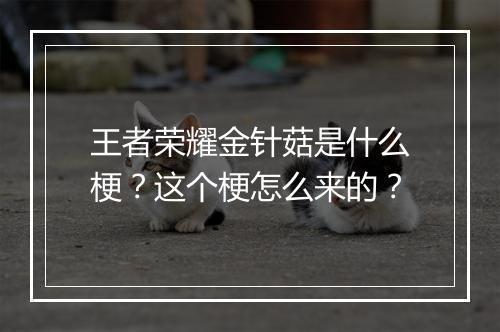 王者荣耀金针菇是什么梗？这个梗怎么来的？