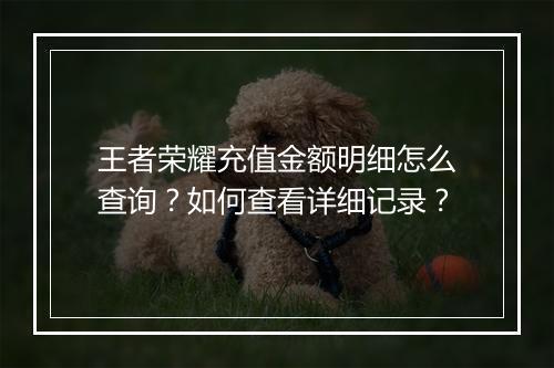王者荣耀充值金额明细怎么查询?如何查看详细记录?