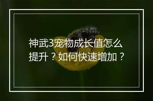 神武3宠物成长值怎么提升？如何快速增加？