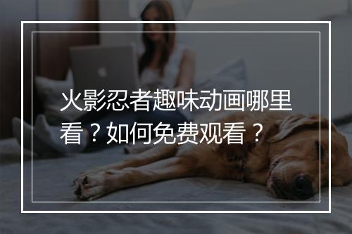 火影忍者趣味动画哪里看?如何免费观看?